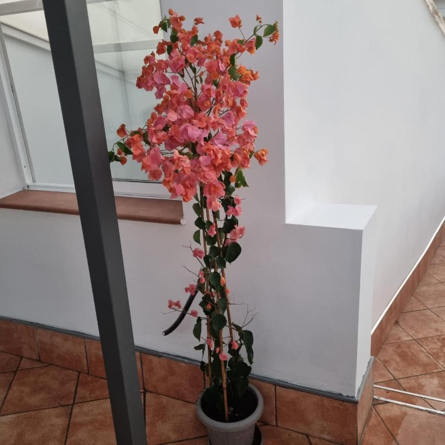 Santiago Del Teide Room Ngoại thất bức ảnh